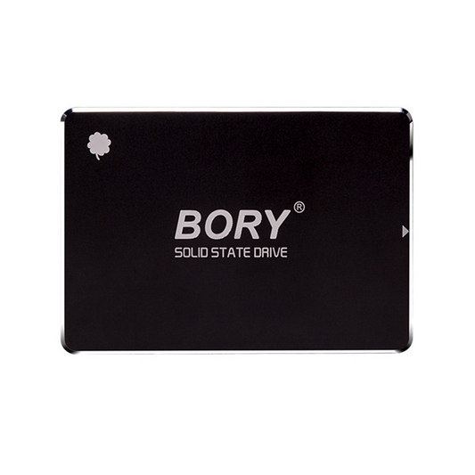 BORY® R500 2.5" SATA III (6Gbs) SSD 256GB