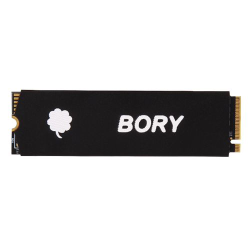 Bory® MII NVME PCIE 512GB